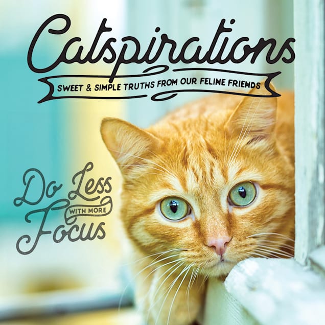 Willow Creek Press Catspirations Book - Carousel image #1