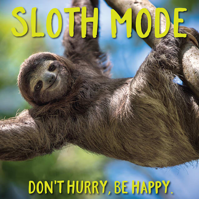 Willow Creek Press Sloth Mode Book - Carousel image #1