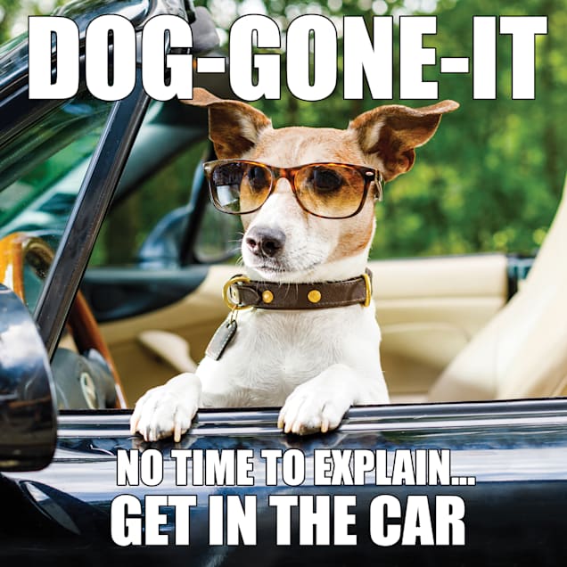 Willow Creek Press Dog-Gone-It Book - Carousel image #1