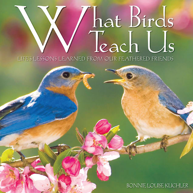 Willow Creek Press What Birds Teach Us Book - Carousel image #1
