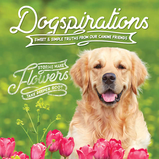 Willow Creek Press Dogspirations Book - Carousel image #1