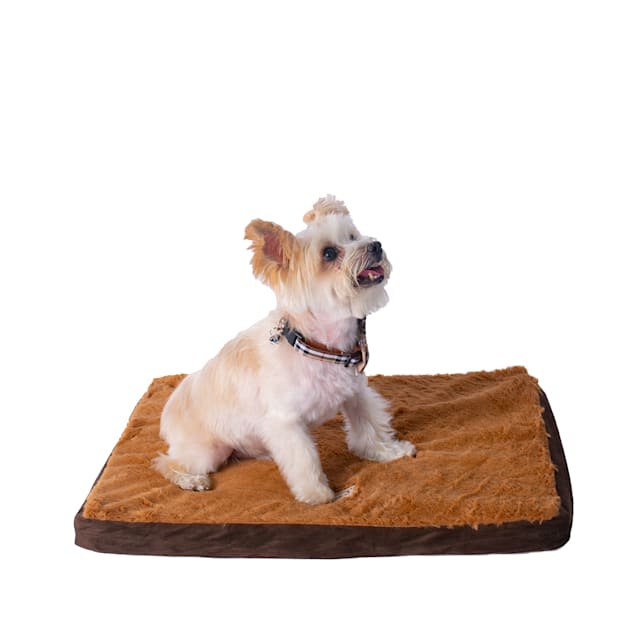 Armarkat Mocha/Brown Memory Foam Orthopedic Pet Bed, 23" L X 18" W X 2" H - Carousel image #1