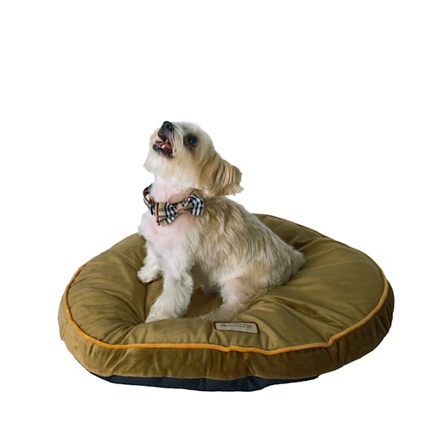 Armarkat Cushion Pet Bed, 25" L X 25" W X 3.5" H, Sage Green - Carousel image #1
