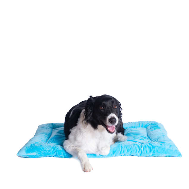 Armarkat Sky Blue Pet Crate, 35" L X 22" W X 2" H - Carousel image #1