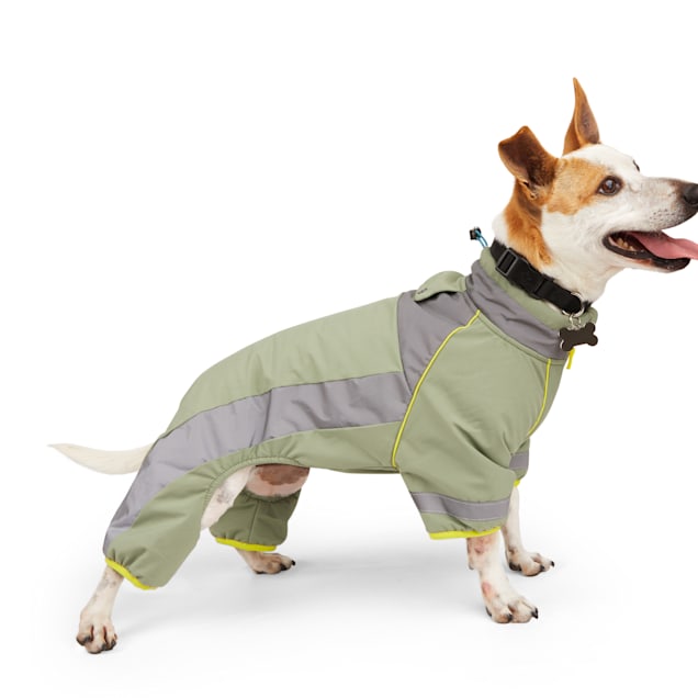 Best dog snowsuit top