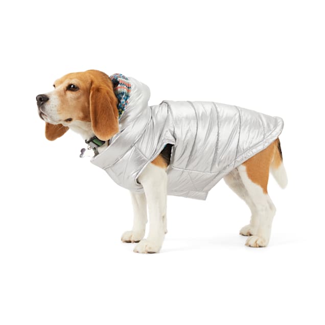 Petco dog online sweaters and coats