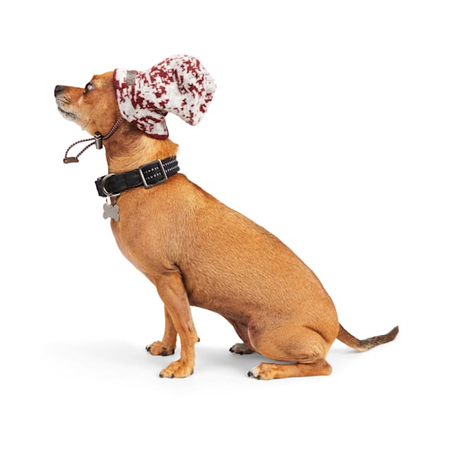 YOULY Beanie Dog Hat, X-Small/Small