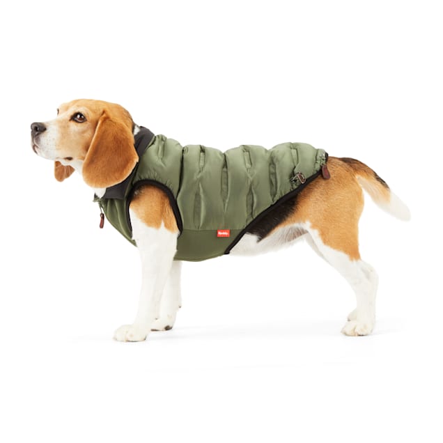 Puppy puffer vest clearance