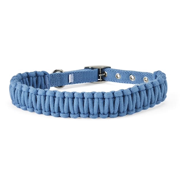  Sam & Maui Cotton Floral Dog Collar with Matt Gold Metal  Buckle, 05-Blue ,Extra Small : Pet Supplies