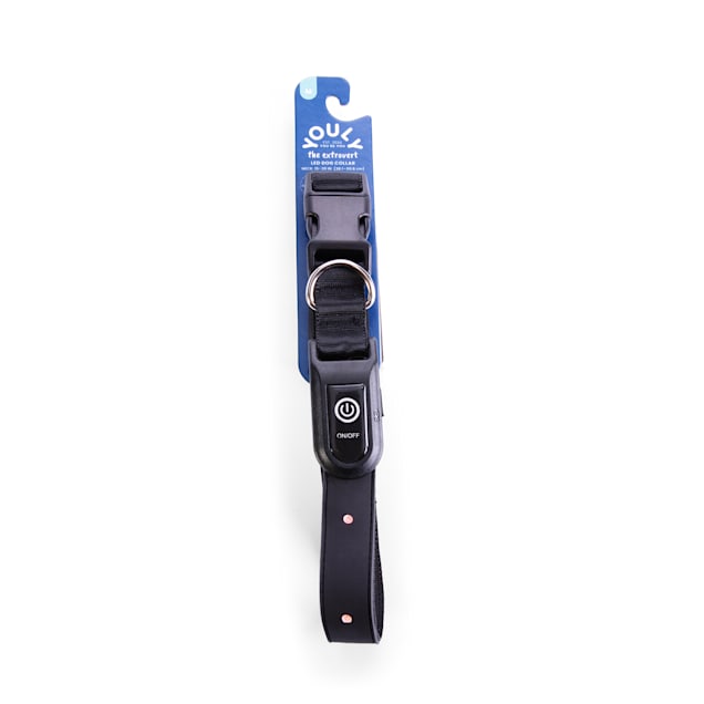 YOULY The Extrovert Black LED Dog Collar Large