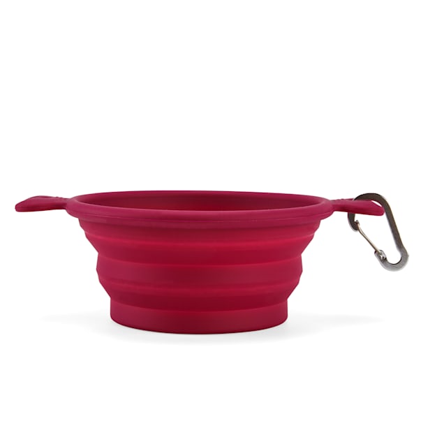 Collapsible dog bowl petco cheap