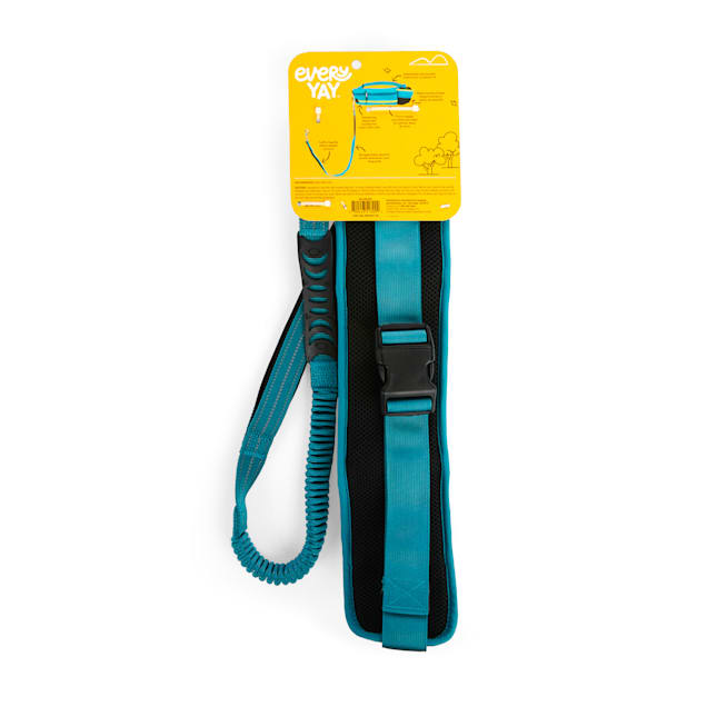 Petco running leash outlet