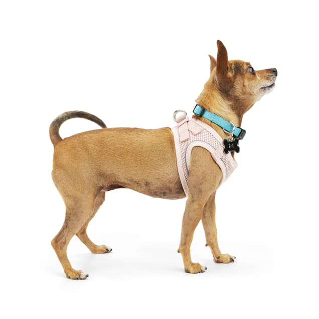 YOULY The Classic Pink Small Dog Harness XX Small X Small Petco