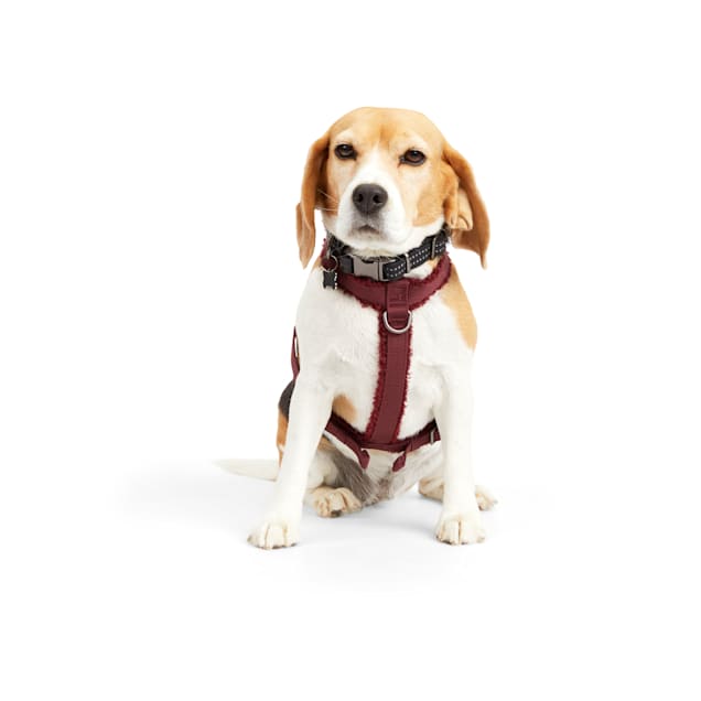 Reddy Burgundy Fleece Dog Harness, Medium Petco