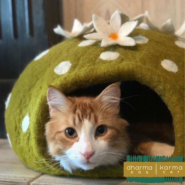 Petco cactus cat on sale bed