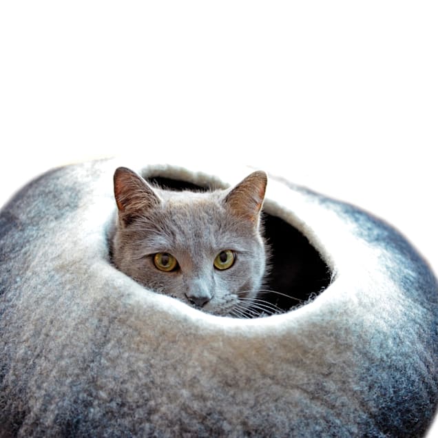 Karma 2025 cat bed