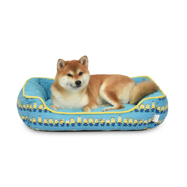 Dog cots near me 2025