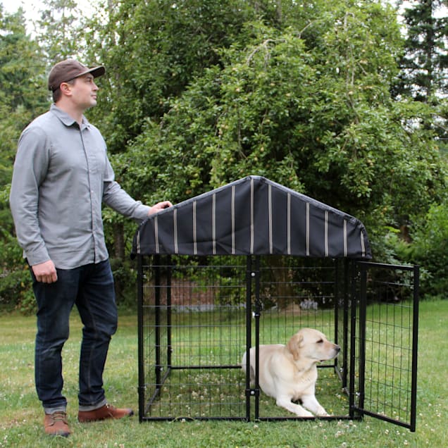 Lucky Dog Pet Resort, 48" L X 48" W X 52" H - Carousel image #1