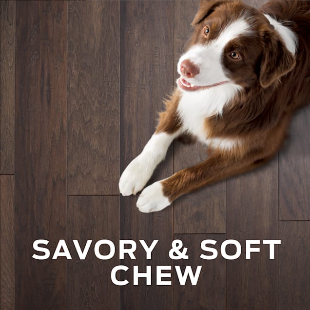 Purina pro plan treats on sale