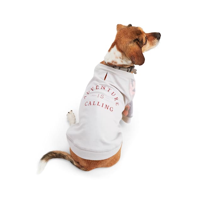 Reddy Adventure is Calling Dog T-Shirt, X-Large - Carousel image #1