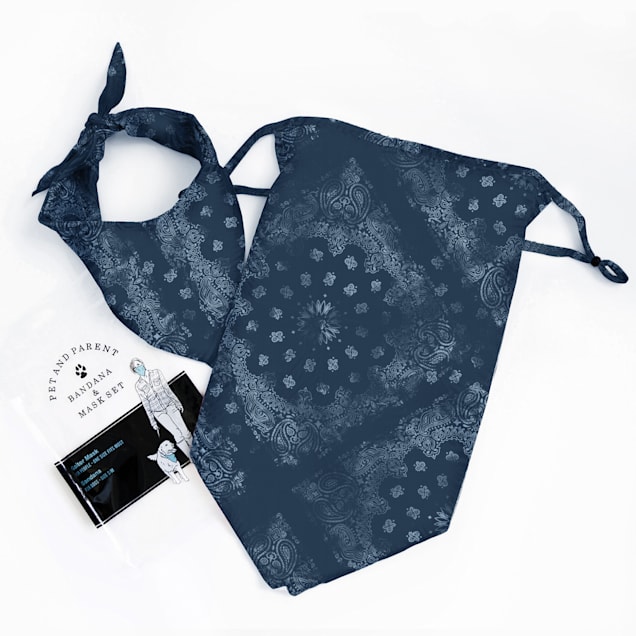 American Fashion Network Pet and Parent Paisley Bandana & Mask Set, Small/Medium - Carousel image #1