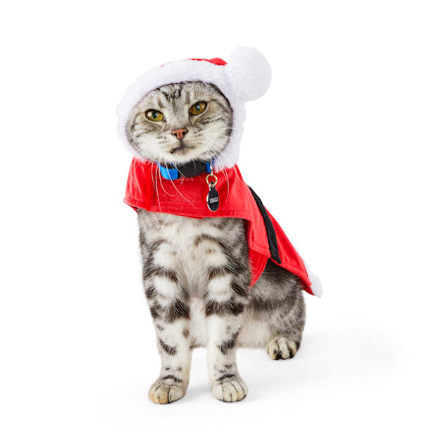 Cat santa deals costume