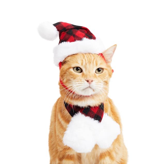 Santa suit for sales cats