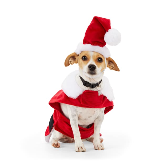 Merry Makings Dog Santa Suit X Small Petco