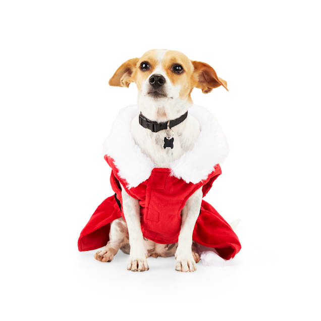 Merry Makings Mrs. Claus Costume for Dogs and Cats XX Small Petco