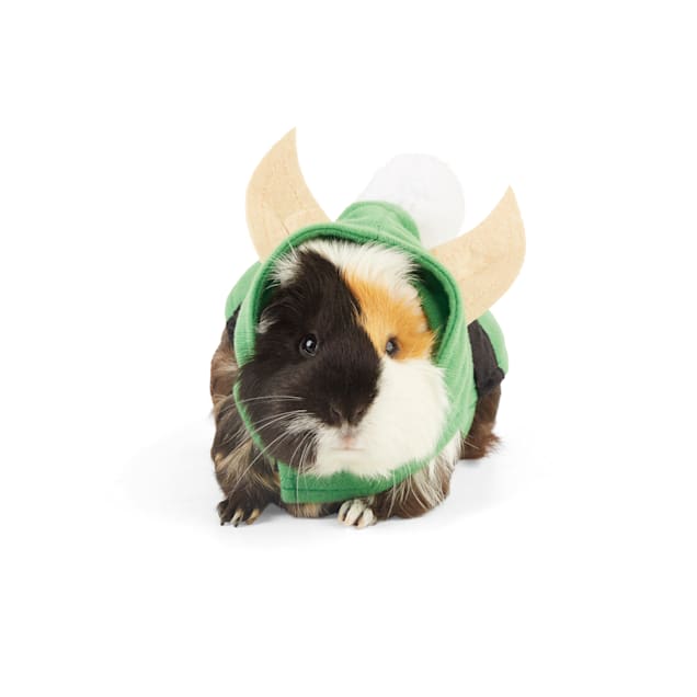 Elf Guinea Pig Costume Petco