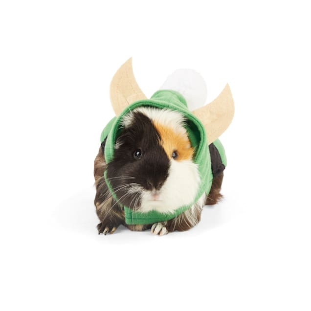 Guinea pig 2025 leash petco