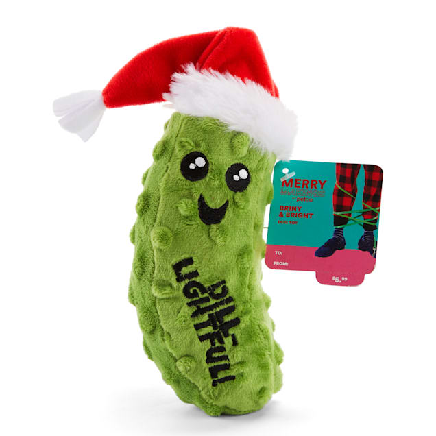 Merry Makings Plush Big Dill Pickle Dog Toy, Small