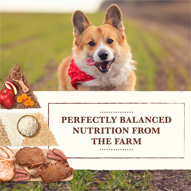Whole earth healthy weight dog food 2025