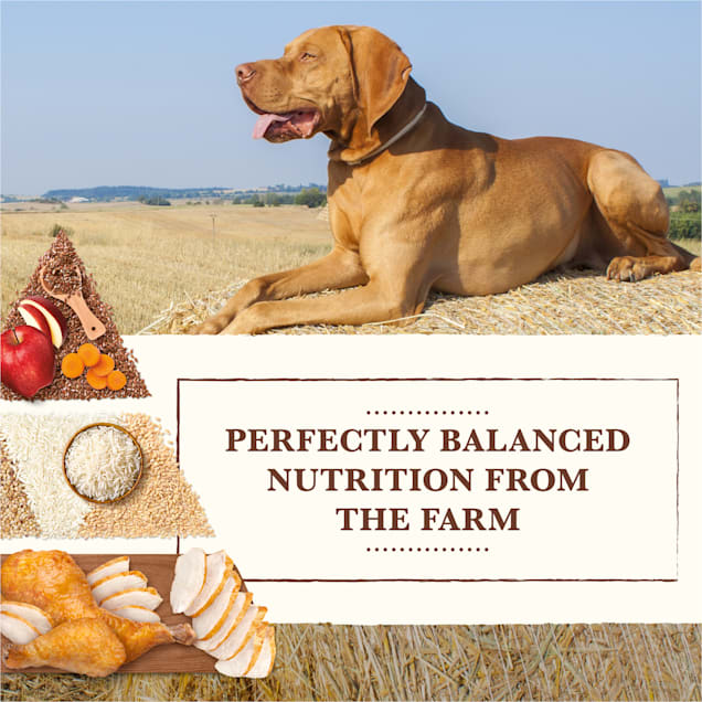 Whole Earth Farms Healthy Grains Large Breed Chicken and Rice Recipe Dry Dog Food 12 lbs