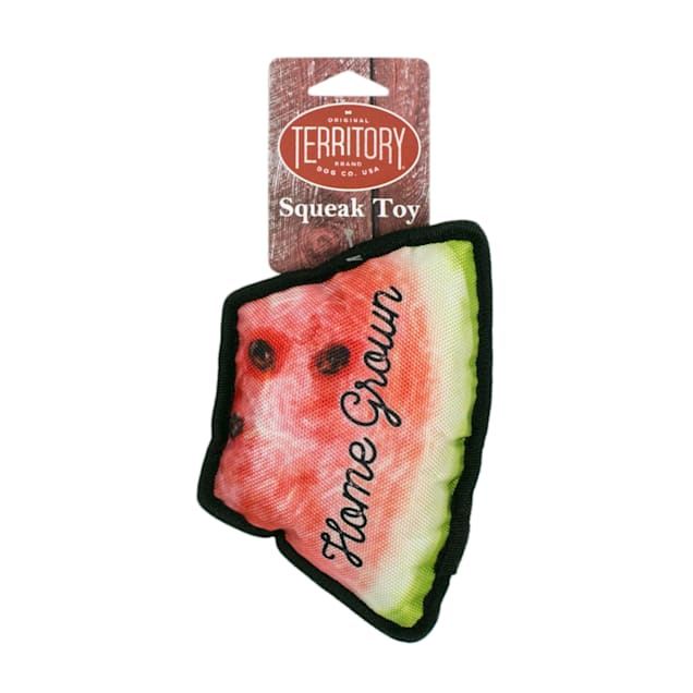 Territory Slice-of-Watermelon Bone Dog Toy - Carousel image #1