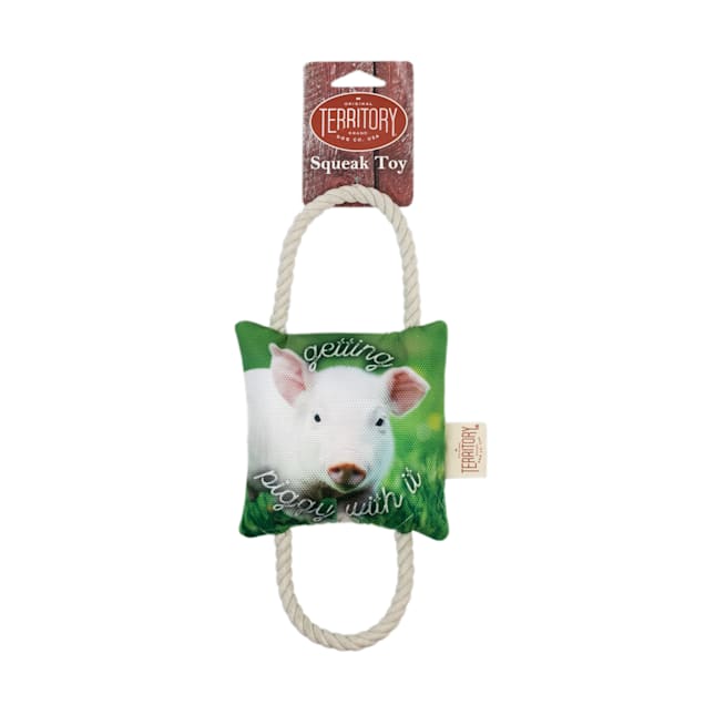 Territory Getting Piggy 2-Way Tug Toy - Carousel image #1