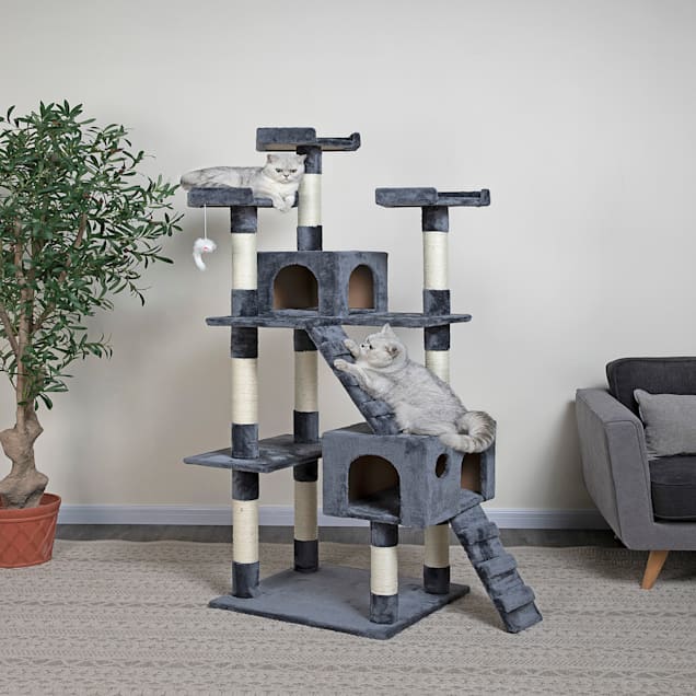 Cat shop tree gray