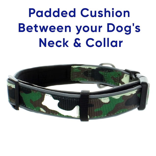 Prong dog collar store petco