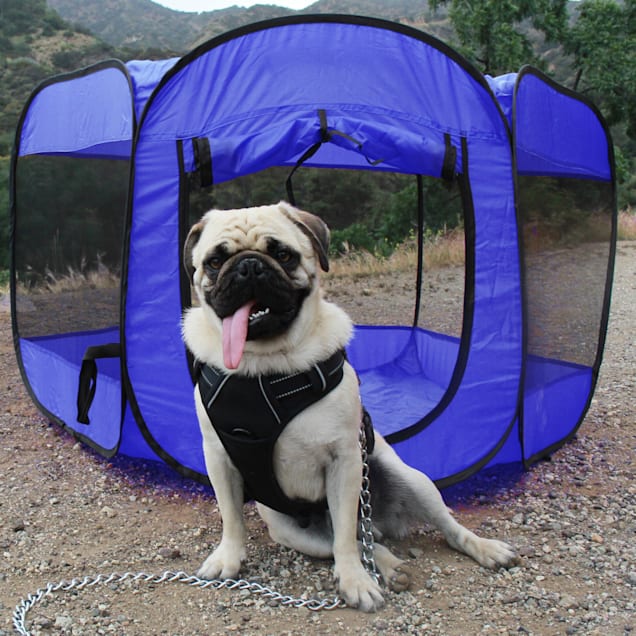 Paws and Pals Blue Pet Playpen Portable Pop Up Tent, 48" L X 24" W X 48" H - Carousel image #1