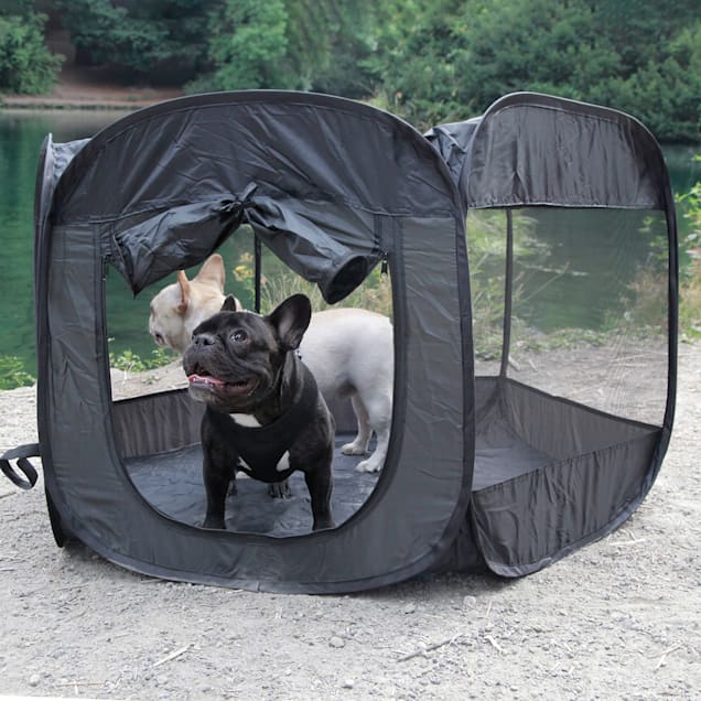 Paws and Pals Black Pet Playpen Portable Pop Up Tent, 48