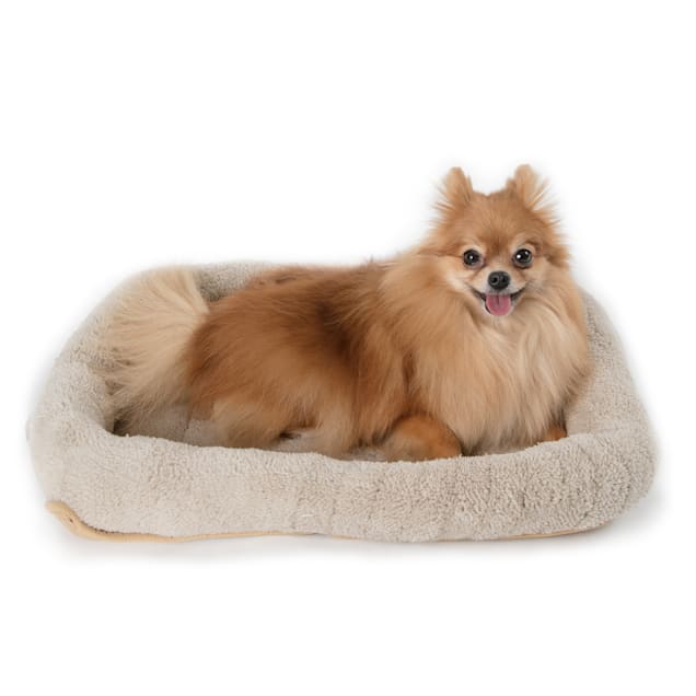 Paws & Pals Pet Crate Pad Bed, 20" L X 18" W X 3" H - Carousel image #1