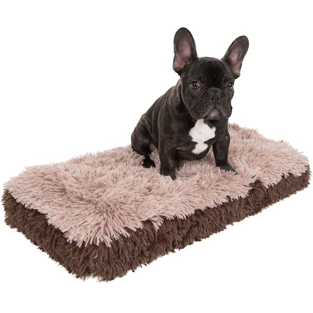 Paws Pals Beige Fuzzy Pet Bed 14