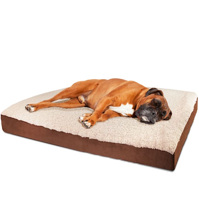 Petco deals crate beds