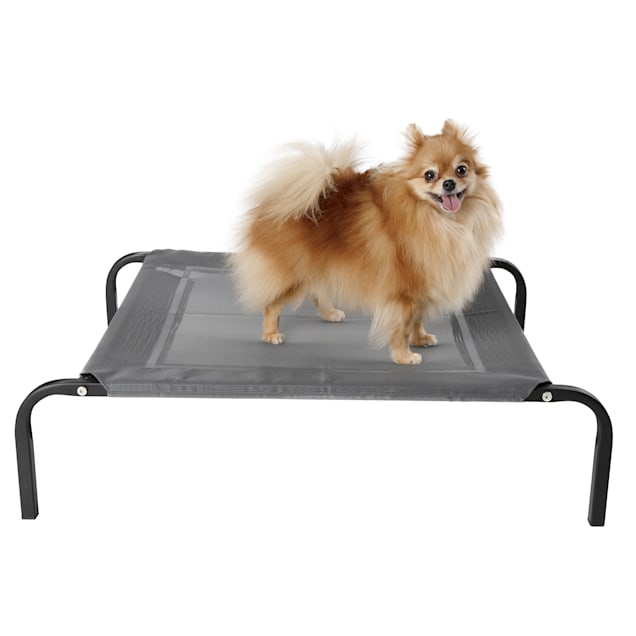 Paws and pals hot sale elevated pet bed