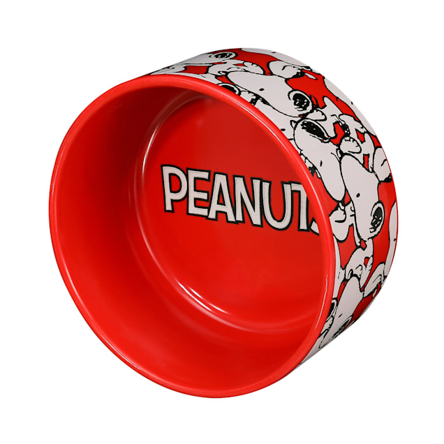 Peanuts snoopy dog discount bowl