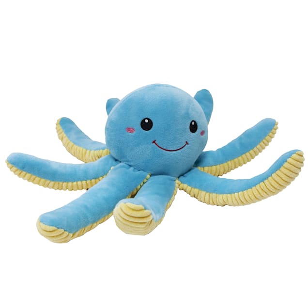 Octopus for hotsell sale petco