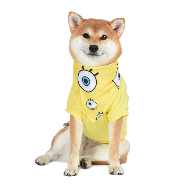 Petco dog shirt sales