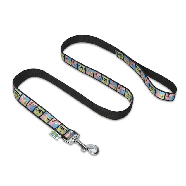 Spongebob dog collar top
