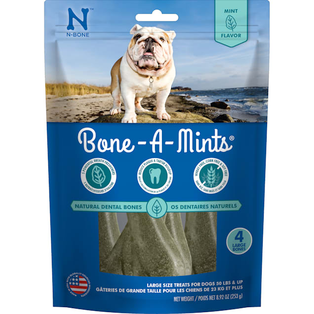 Mint flavored shop dog treats