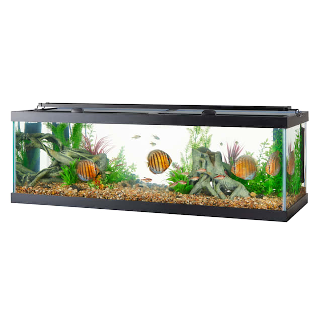 Aquariums with Stand & Lid - big, large fish tank